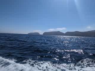 View of open water with Anacapa island in the background. Frothy water from the back of the boat is visble. 